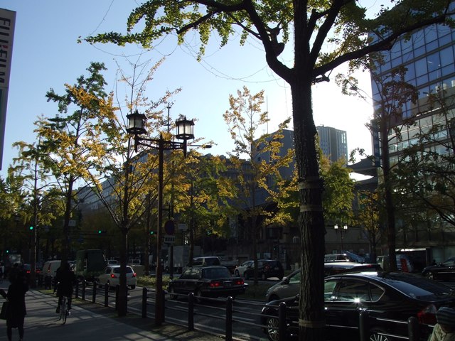 e0046748_15315749.jpg