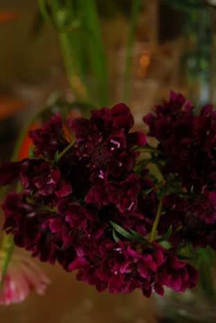 クリスマスカラー_a0201358_12374847.jpg