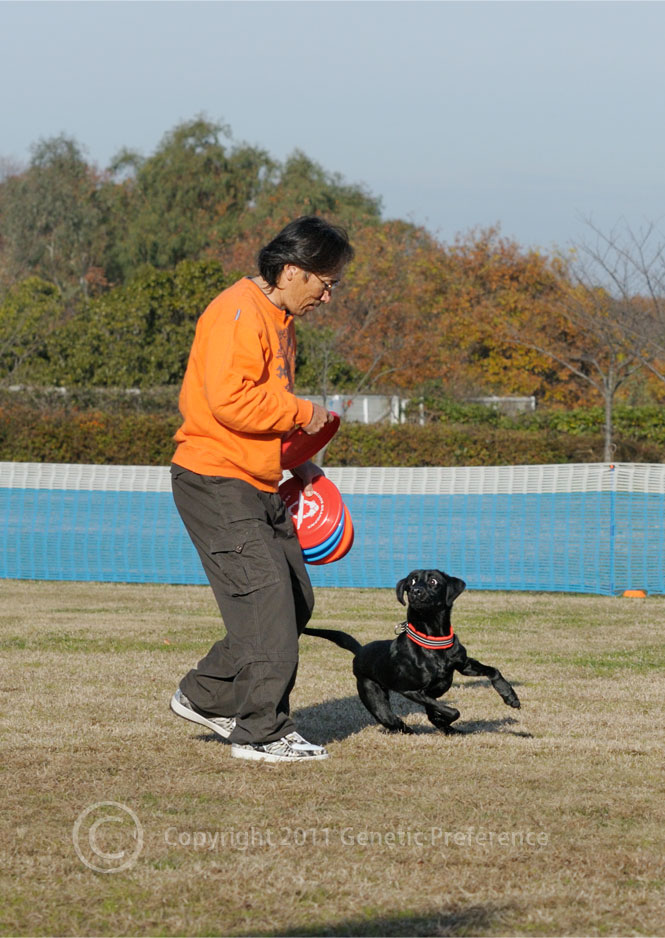 K9 Disc Japan 26th 神戸ワイナリー Vol.3_a0111162_163694.jpg