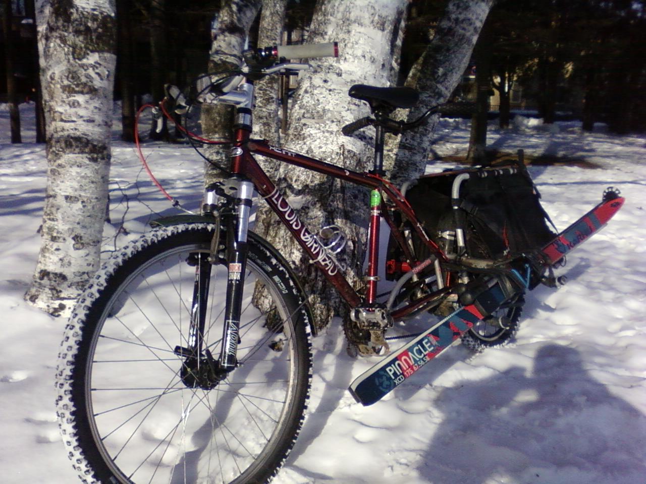 冬季仕様長尺自転車運用悲喜交々 1_d0197762_734687.jpg