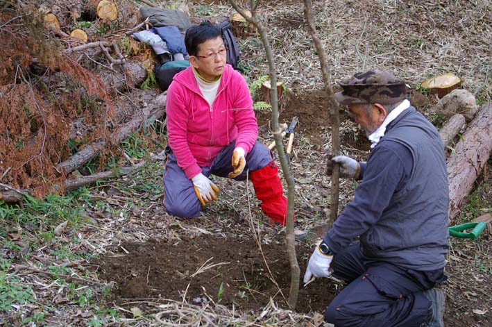 六国見山にイロハモミジとエゴノキの苗木を植樹：12・21_c0014967_610249.jpg