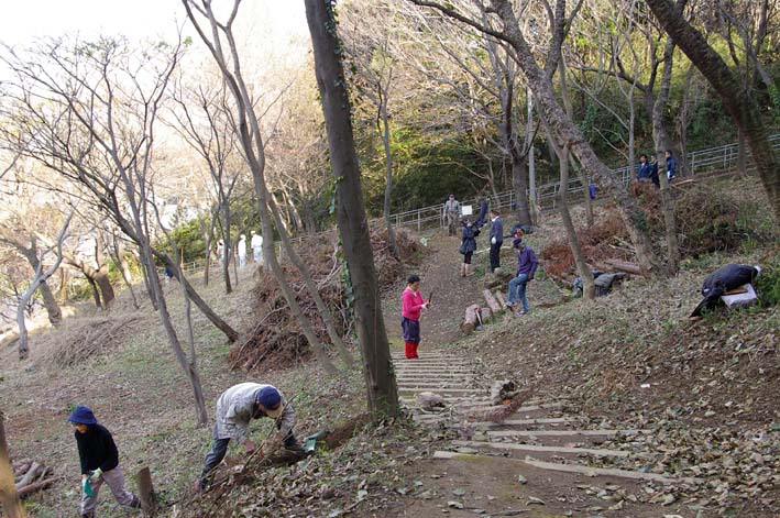 六国見山にイロハモミジとエゴノキの苗木を植樹：12・21_c0014967_6104397.jpg