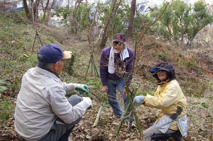 六国見山にイロハモミジとエゴノキの苗木を植樹：12・21_c0014967_612339.jpg