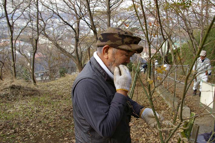 六国見山にイロハモミジとエゴノキの苗木を植樹：12・21_c0014967_68535.jpg