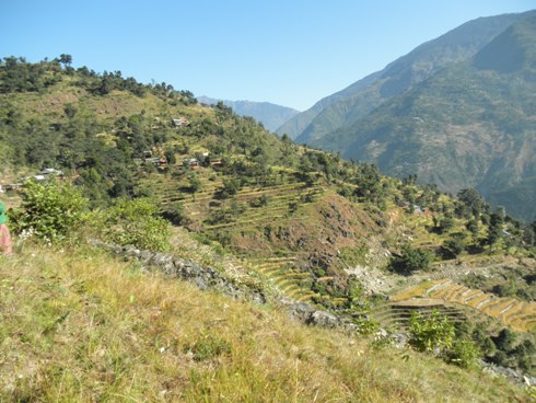 e0155370_21451386.jpg
