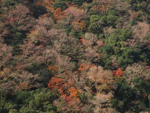 b0135573_21181514.jpg