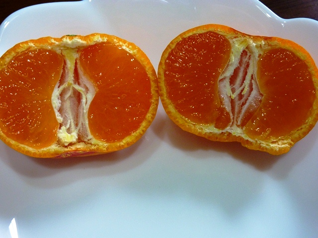 真穴みかん 貴賓 凄いみかん Keiのモグモグの時間 真穴みかん 貴賓 凄いみかん Keiのモグモグの時間