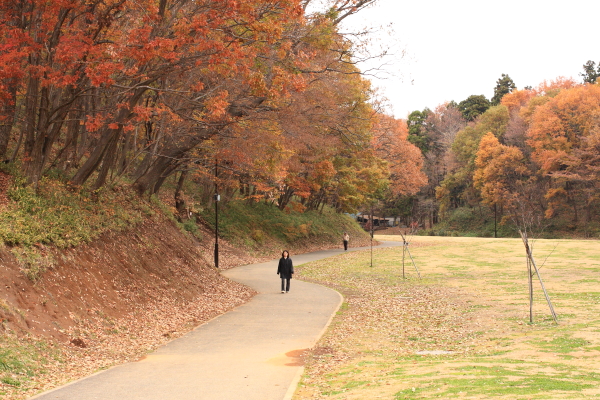 東京町田市 相原中央公園 Free Shot ほっと一息
