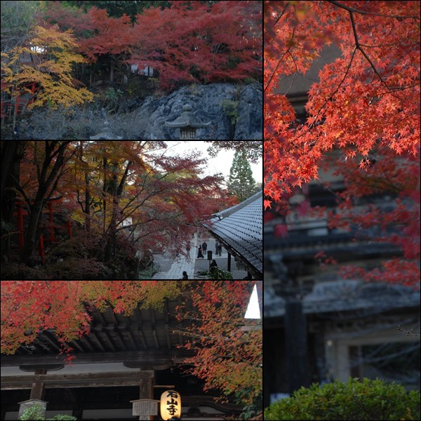 石山寺_d0074683_11443978.jpg