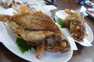 2011年12月22日 みんなが仕事してくれるまで。。_b0098584_2051234.jpg