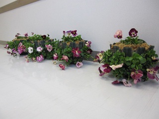 c0152002_9361995.jpg