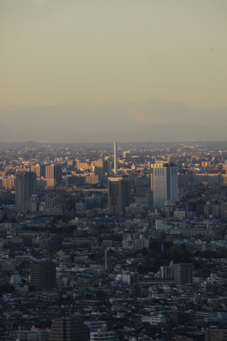 d0248502_14171669.jpg