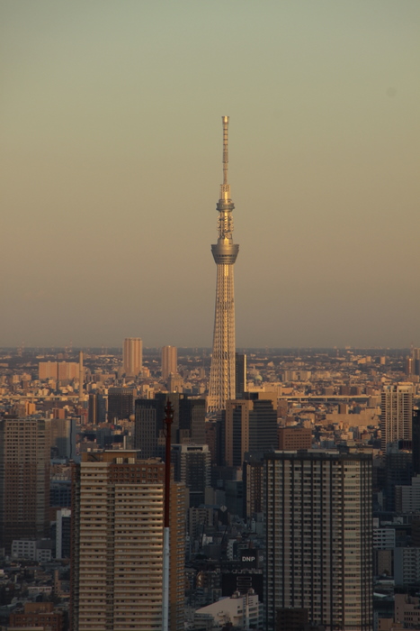 d0248502_14184412.jpg