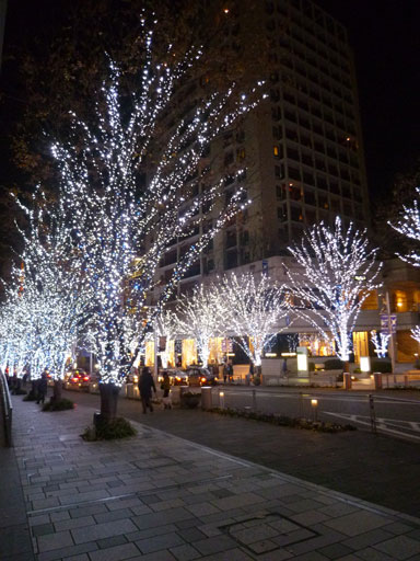 f0036603_22542095.jpg