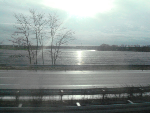 c0167813_618621.jpg