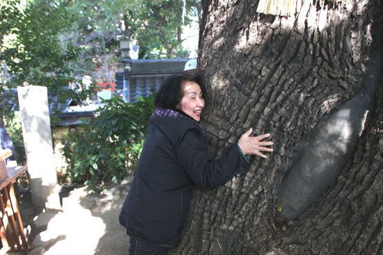 新熊野神社(いまくまのじんじゃ)つなかけ祭_e0048413_2057517.jpg