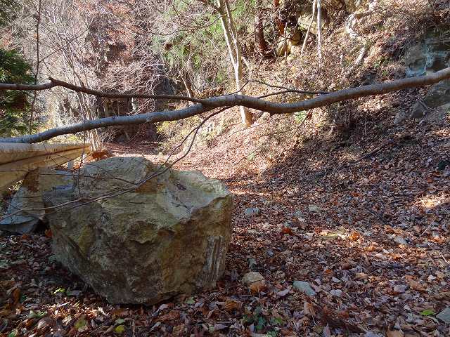 a0243317_21352923.jpg