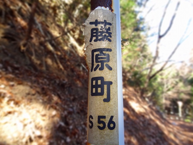 a0243317_21461454.jpg