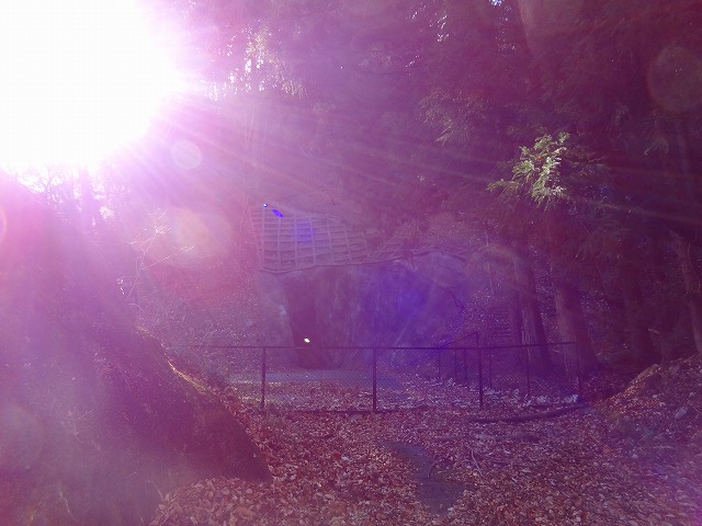 a0243317_21591856.jpg