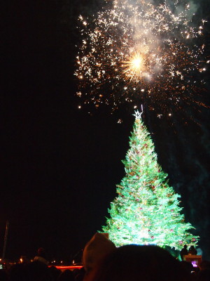 2011はこだてクリスマスファンタジー（函館市）_b0147224_22133722.jpg