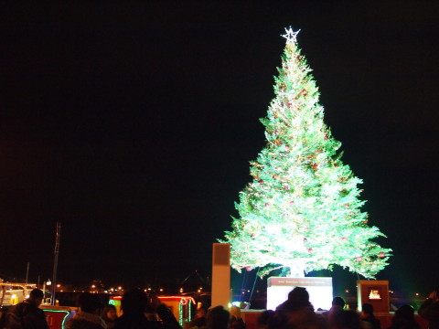 2011はこだてクリスマスファンタジー（函館市）_b0147224_22153082.jpg