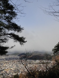c0189724_205067.jpg