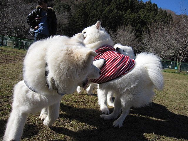 f0213924_08158.jpg