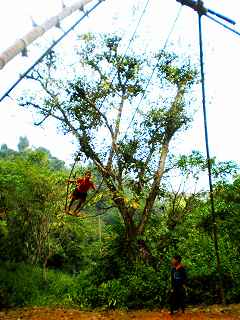 b0239629_3475248.jpg