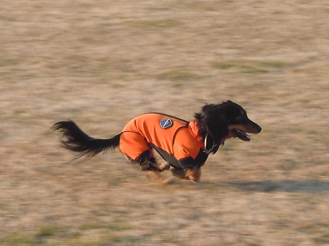 c0117831_2322240.jpg