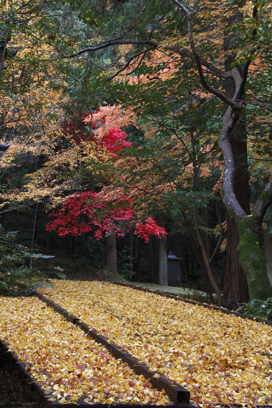 b0042837_565522.jpg