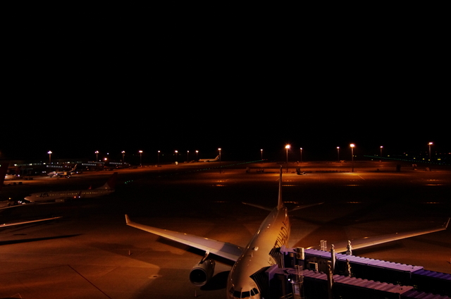 d0186245_220660.jpg