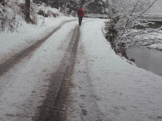 大雪・小雪、そして針畑雪_d0005250_16312286.jpg