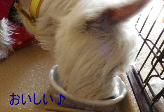 b0239151_2236650.jpg