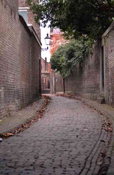 d0047851_13351690.jpg