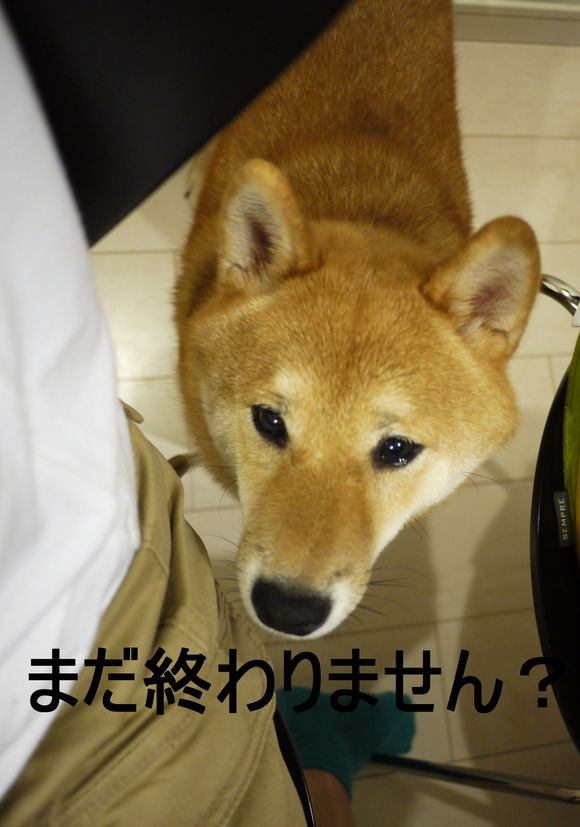 e0241952_19293091.jpg
