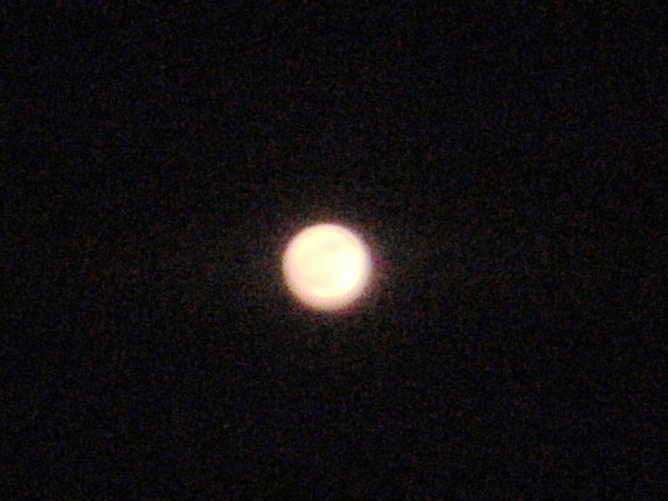 a0174458_0365622.jpg