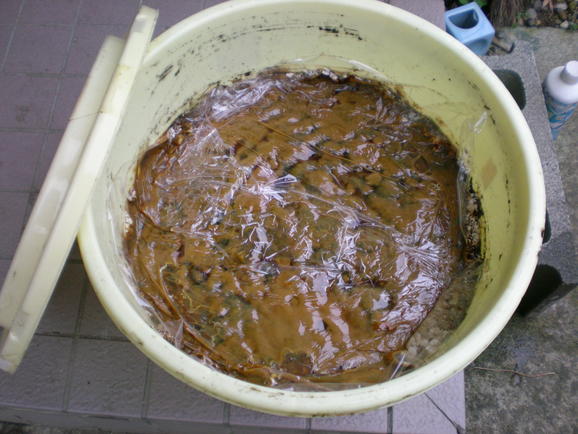 手作り味噌_a0118461_15383239.jpg