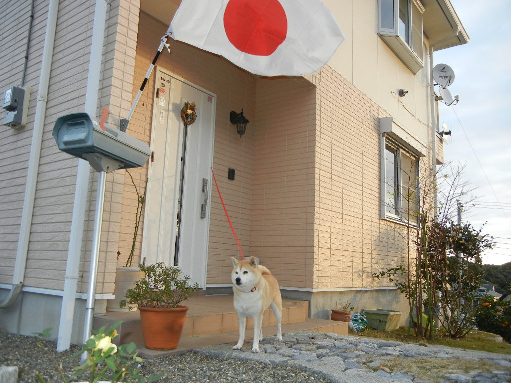 2011年12月23日(金)今日のパパご飯は・・・?_f0060461_1359820.jpg