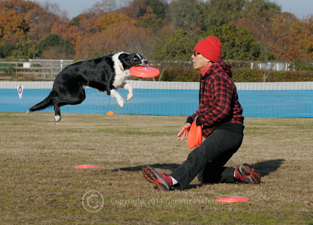 K9 Disc Japan 26th 神戸ワイナリー Vol.4_a0111162_1444725.jpg