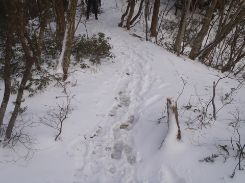 【 １２月２０日/雪の御在所岳登山その３　　下山で滑落！？】_f0202271_23562853.jpg