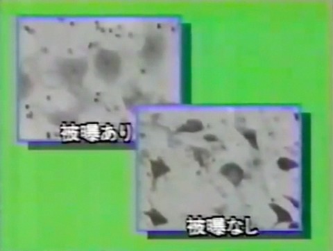 終わりなき人体汚染 「テクスト」版 2_c0139575_23154168.jpg