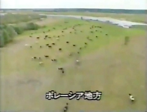 終わりなき人体汚染 「テクスト」版 2_c0139575_23433072.jpg