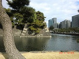 a0185783_1745489.jpg