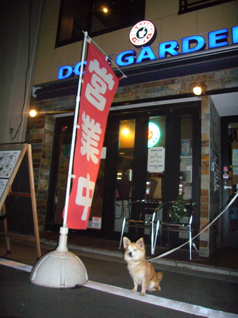 a0073390_18242672.jpg