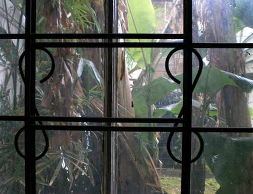 d0000995_1414301.jpg