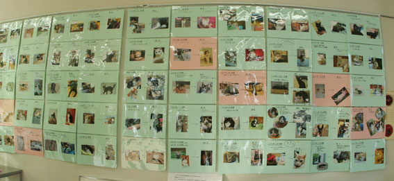 d0071596_2233822.jpg