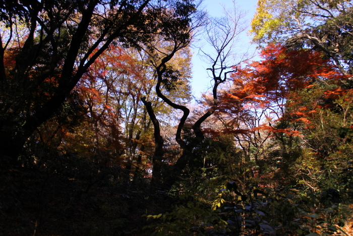 d0248502_14102740.jpg