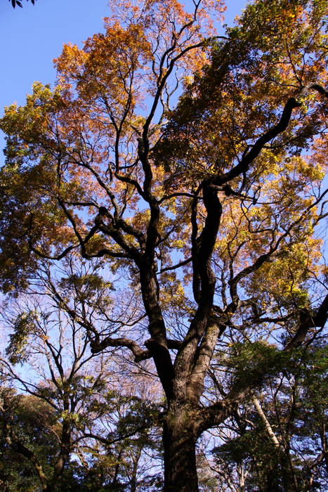 d0248502_1411685.jpg