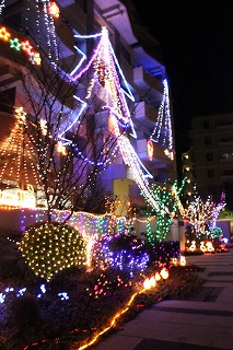 a0123003_1041188.jpg