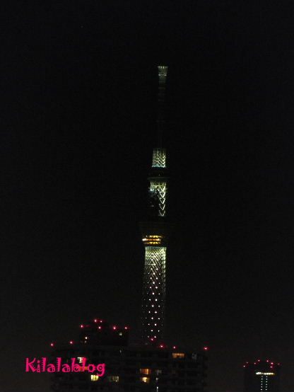 e0130008_2026951.jpg